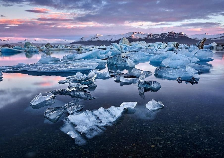 Iceberg e frammenti di ghiaccio galleggiano in acque tranquille, riflettendo un cielo rosa e viola al tramonto con montagne innevate sullo sfondo.