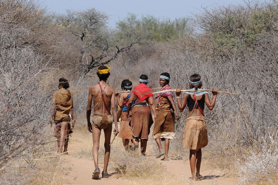 A group of people in traditional clothing walk down a dirt path through a dry, arid bushland.