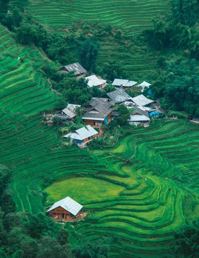 Eine Luftaufnahme eines kleinen Dorfes mit Holzhäusern, eingebettet in leuchtend grüne, terrassierte Reisfelder an einem üppigen Berghang.
