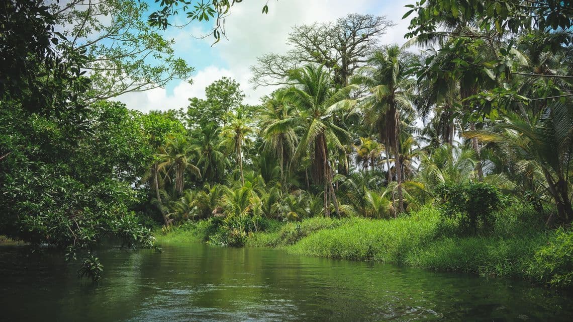 Un fiume tranquillo scorre lungo una sponda verdeggiante in una fitta giungla tropicale con alte palme sotto un cielo azzurro.