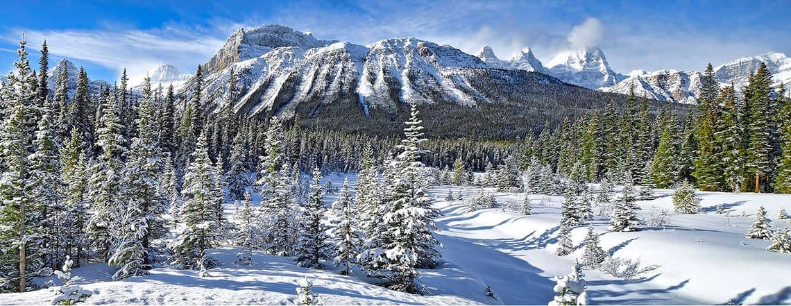 Una vista panoramica di una pineta innevata con imponenti montagne rocciose sullo sfondo sotto un cielo azzurro e limpido.