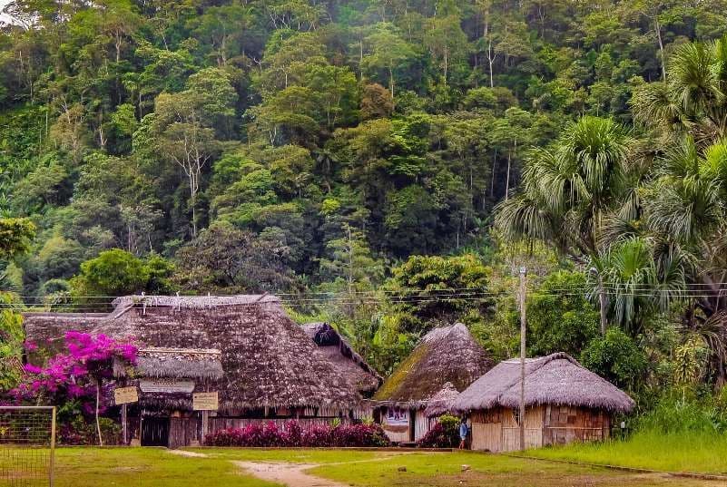 A village with traditional thatched-roof huts and pink flowers is situated at the base of a lush, green, forested hill.