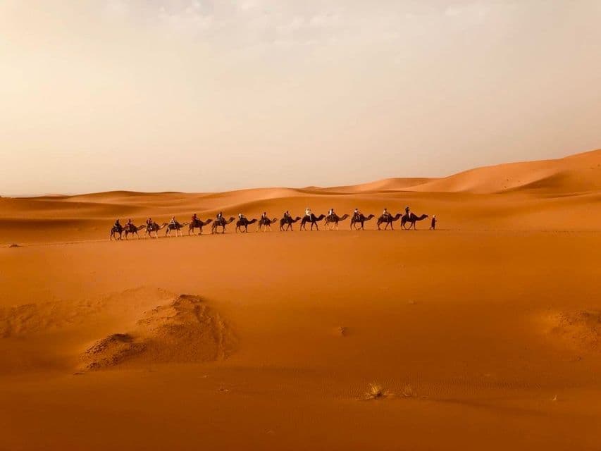 Un viaggio di gruppo WeRoad in carovana di cammelli che attraversa grandi dune di sabbia arancioni nel deserto.