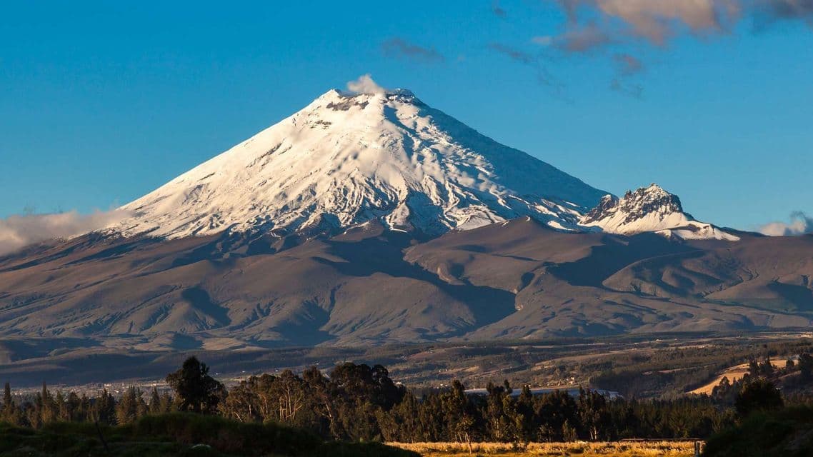 Un gran volcán cubierto de nieve emitiendo una columna de humo, enmarcado por un cielo azul sobre un valle con árboles.
