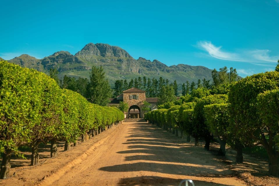 Un chemin de terre bordé d'arbres verts bien entretenus mène vers un bâtiment en pierre, avec des montagnes en arrière-plan sous un ciel bleu.