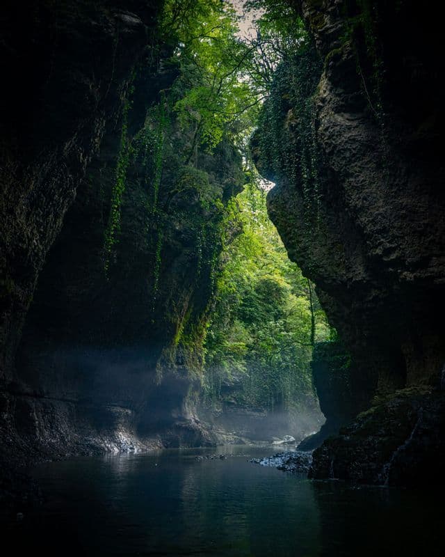 Une vue de l'intérieur d'un canyon sombre et étroit où une rivière coule entre des parois rocheuses abruptes recouvertes de vignes vertes luxuriantes.