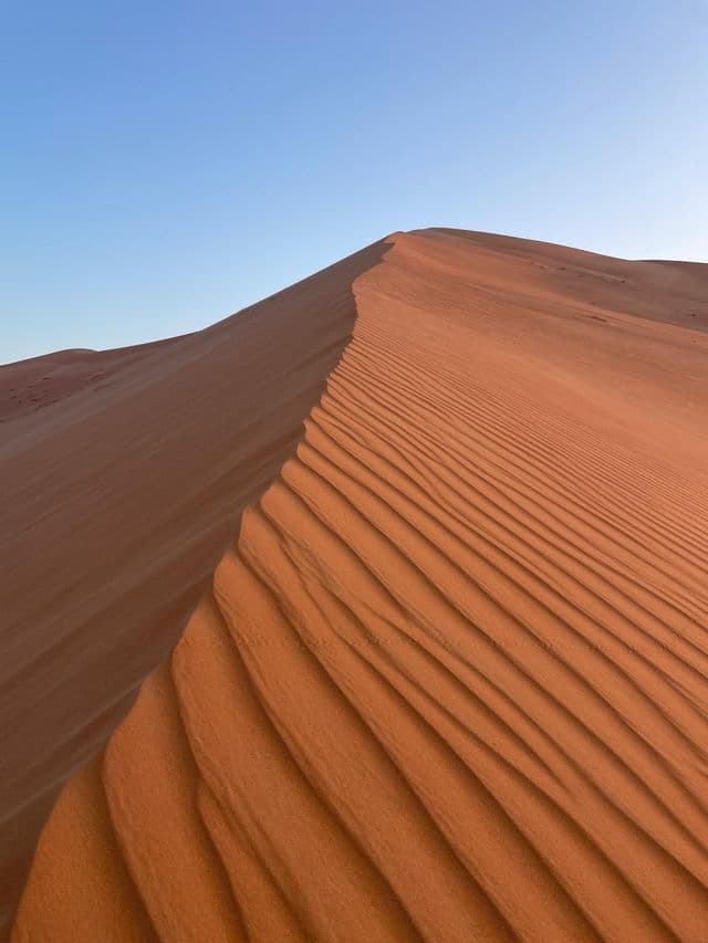 La cima di una grande duna di sabbia rossastra con increspature modellate dal vento sul suo lato soleggiato, stagliata contro un cielo azzurro limpido.
