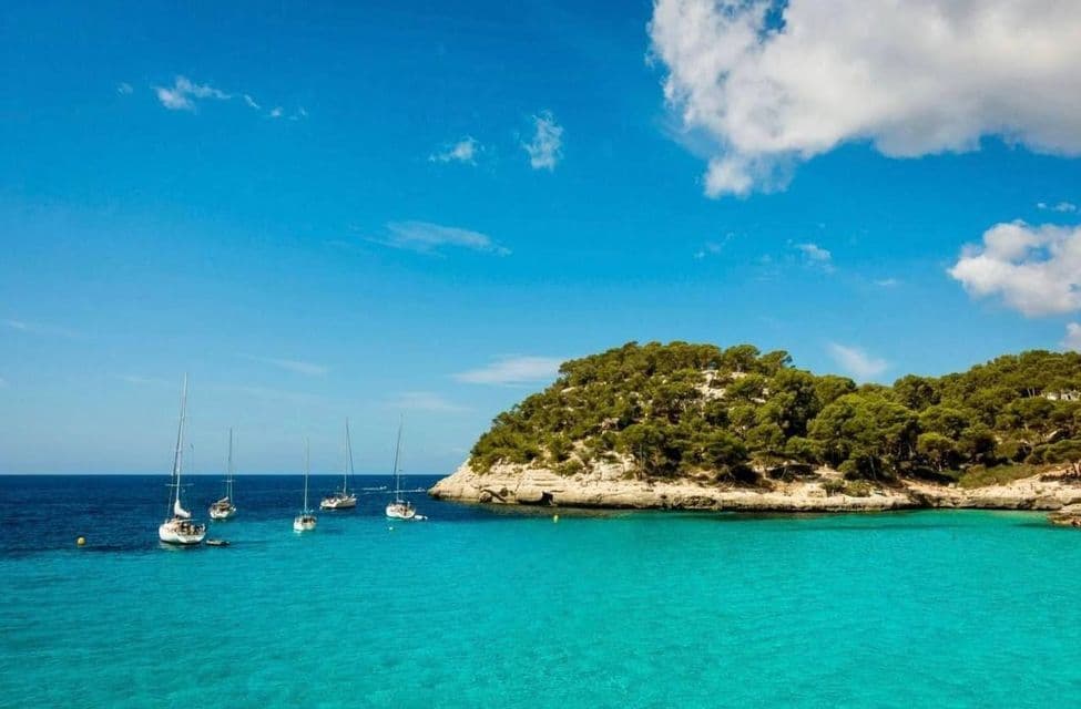 Varios veleros flotan en aguas tranquilas de color turquesa en una cala junto a una costa rocosa y arbolada bajo un cielo azul.