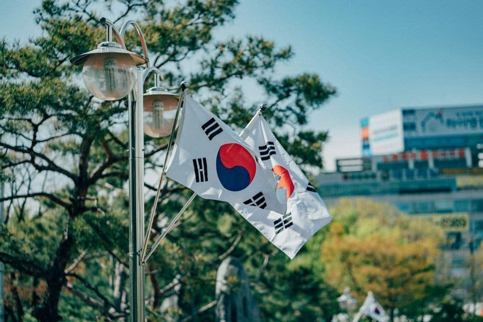 Two South Korean flags wave on a silver lamppost with green trees and a blue sky in the background.