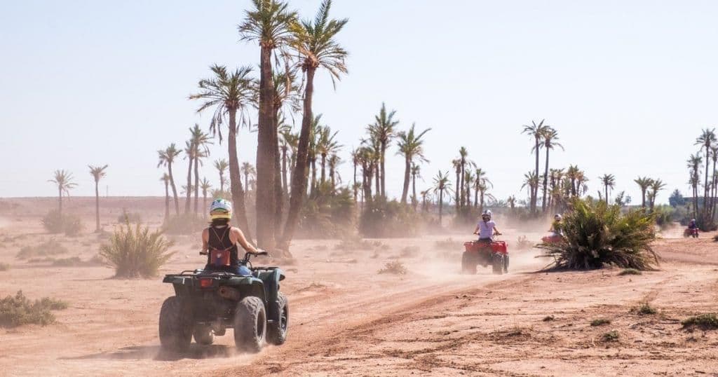 Un groupe WeRoad en quad sur une piste désertique poussiéreuse, entourée de grands palmiers.
