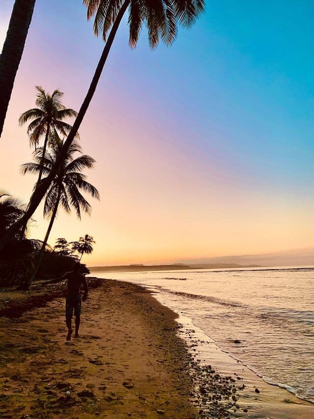 Una persona passeggia su una spiaggia di sabbia sotto le palme, con un tramonto sfumato sull'oceano.
