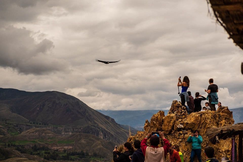 A WeRoad group trip on a rocky viewpoint photographs a condor flying over a mountain canyon under a cloudy sky.