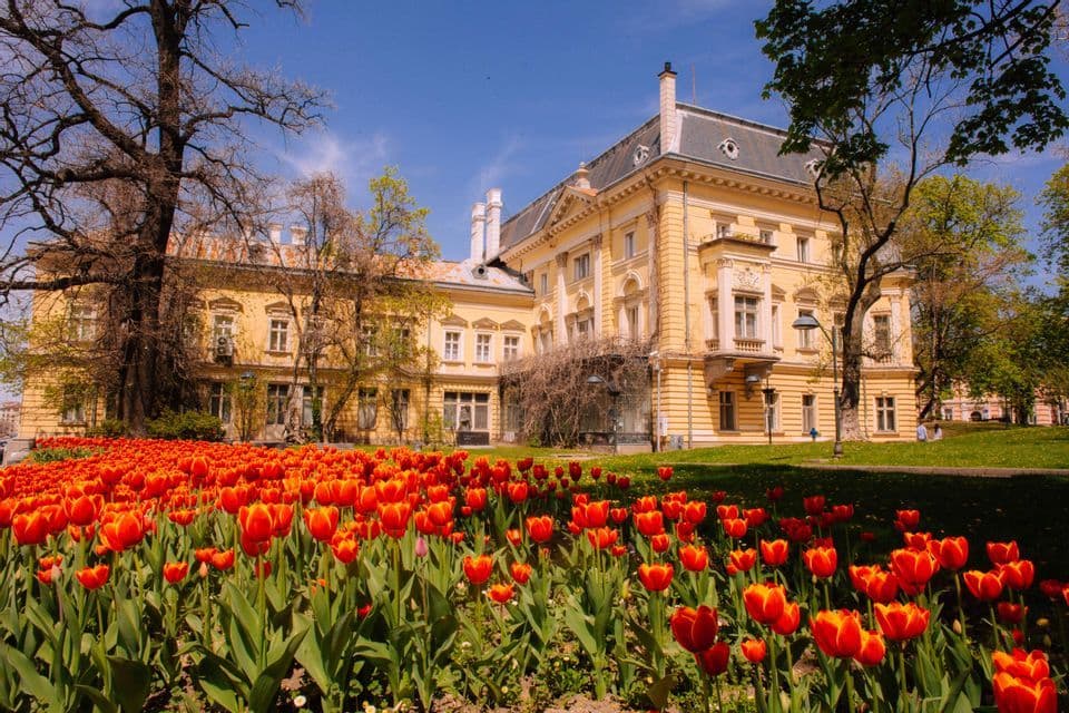 Un lecho de tulipanes rojos y naranjas florece en un parque frente a un gran edificio histórico amarillo bajo un cielo azul.