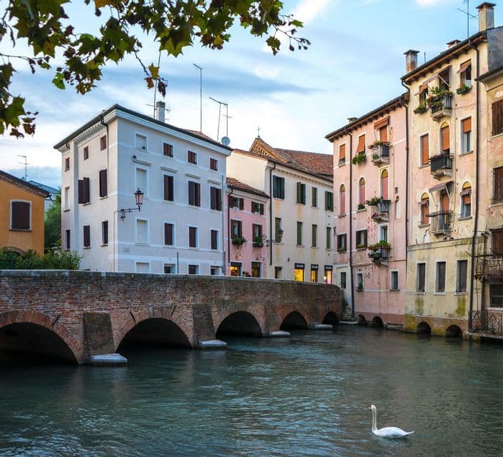 Un cigno bianco nuota in un canale accanto a un ponte ad archi in mattoni e a edifici colorati sotto un cielo nuvoloso.