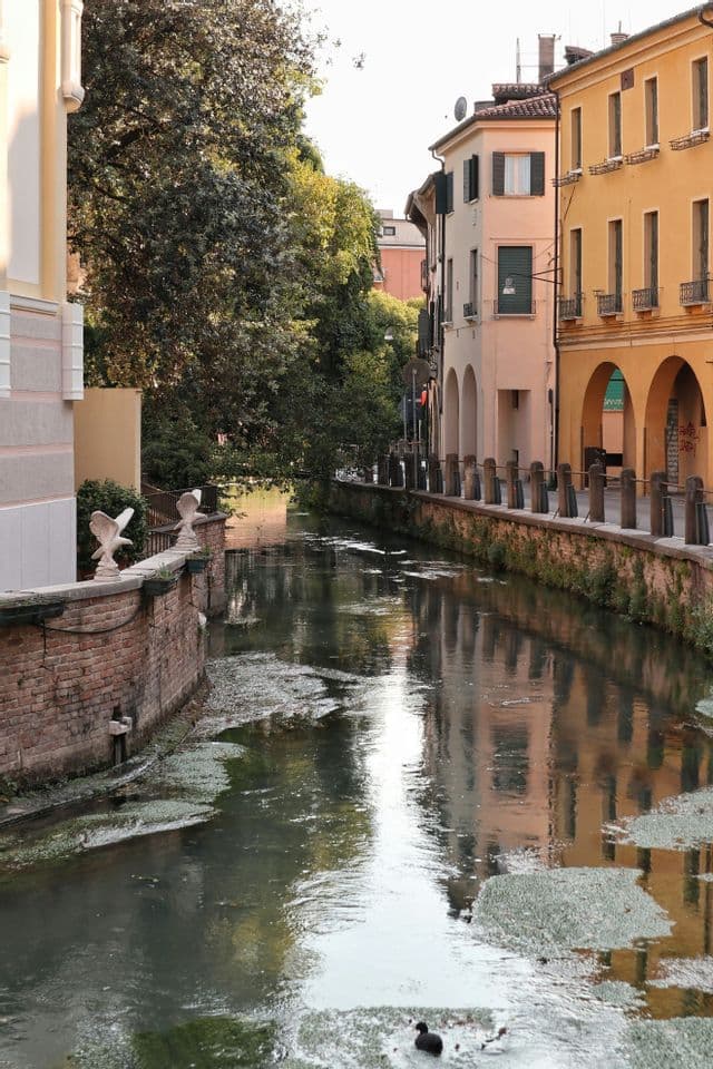 Un canale attraversa una città, costeggiando storici edifici gialli e rosa con portici ad arco, i cui riflessi si specchiano nell'acqua.