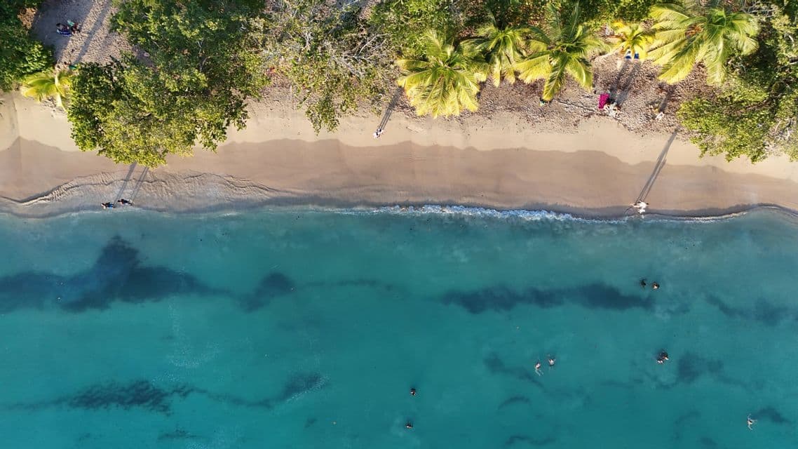Una vista aerea di un gruppo WeRoad che nuota in acque turchesi e si rilassa su una spiaggia sabbiosa con palme.