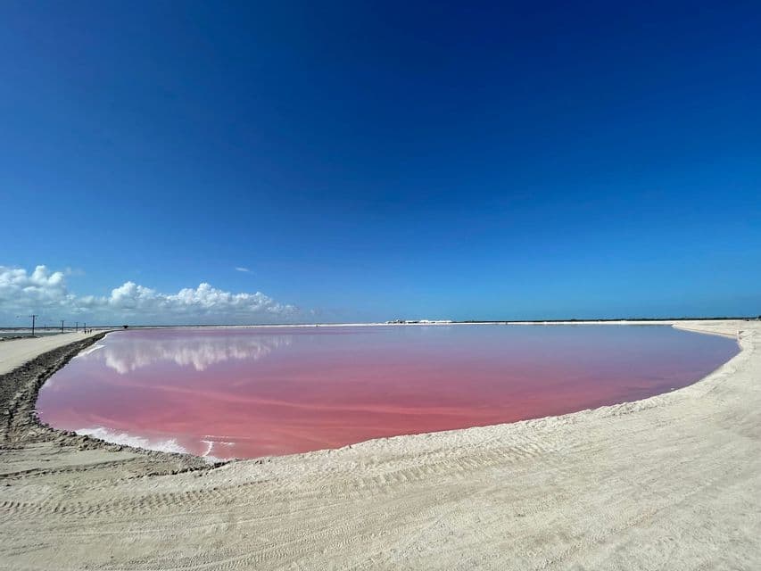 Un lac rose éclatant avec une rive sablonneuse reflète des nuages blancs sous un ciel bleu profond et dégagé.