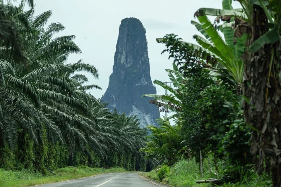 Un pinnacolo roccioso imponente si erge sopra una strada costeggiata da dense palme e una lussureggiante vegetazione tropicale.