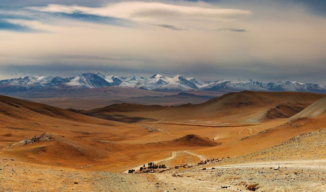 Pastores a caballo guían un rebaño de ganado por un camino de tierra a través de un vasto valle árido con montañas nevadas en la distancia.