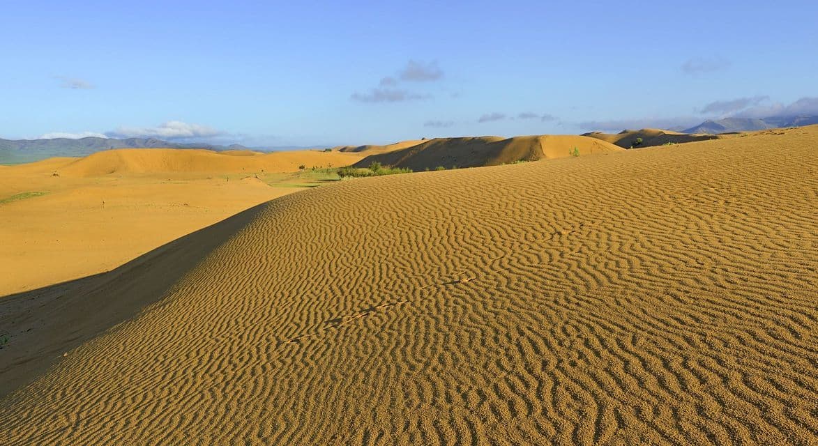 Dunas de arena dorada, con patrones ondulados por el viento, se extienden por un paisaje desértico bajo un cielo azul claro y montañas a lo lejos.