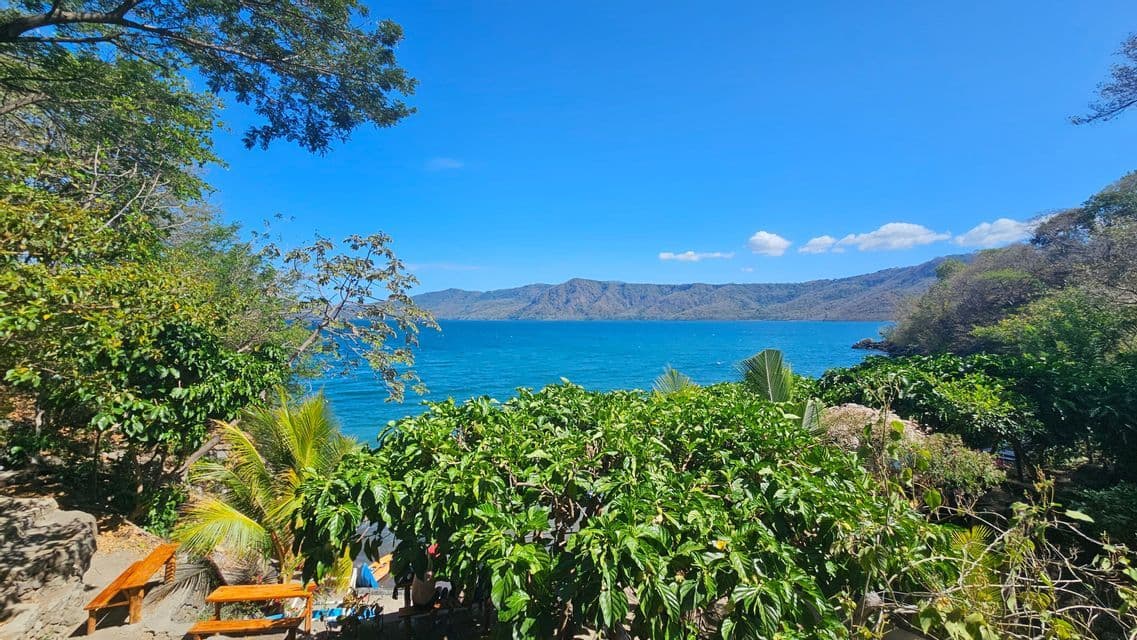 Ein Ausblick durch üppig grüne Bäume auf einen weiten blauen See und ferne Berge unter klarem Himmel.