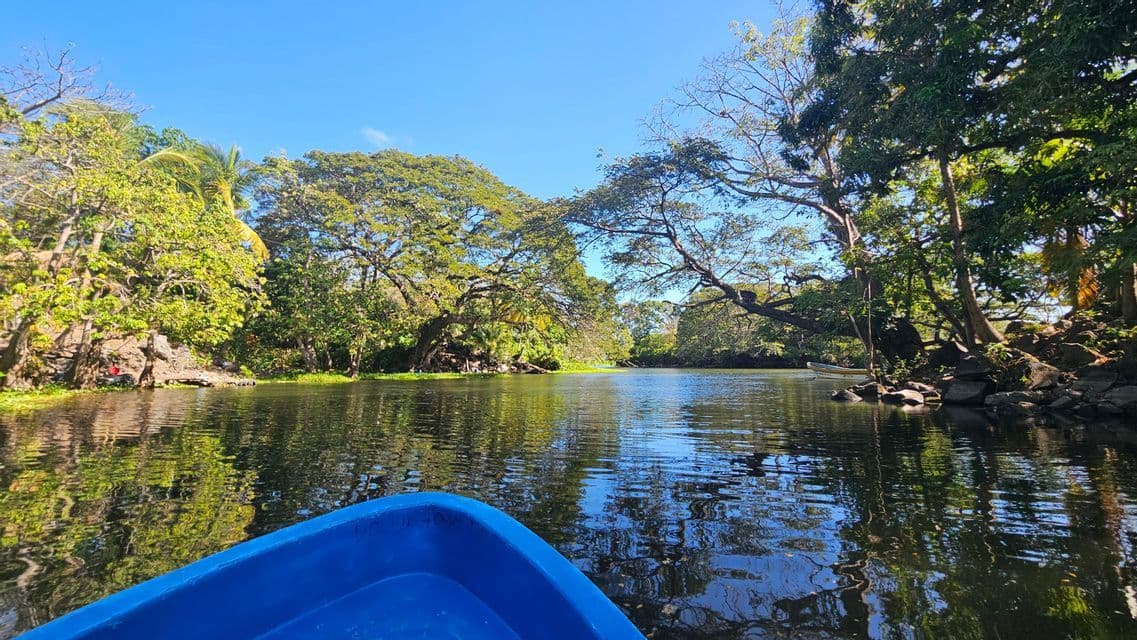 Blick aus einem blauen Boot auf einem ruhigen Fluss, dessen Ufer von üppig grünen Bäumen gesäumt sind, unter klarem Himmel.