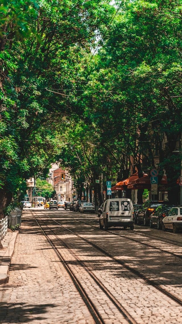 Eine Kopfsteinpflasterstraße mit Straßenbahnschienen führt durch eine Stadt, gesäumt von geparkten Autos und üppigen grünen Bäumen, die ein Blätterdach bilden.