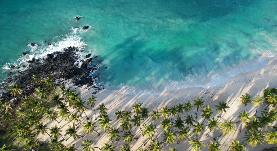 Veduta aerea di una spiaggia tropicale con palme, sabbia bianca e acqua turchese.