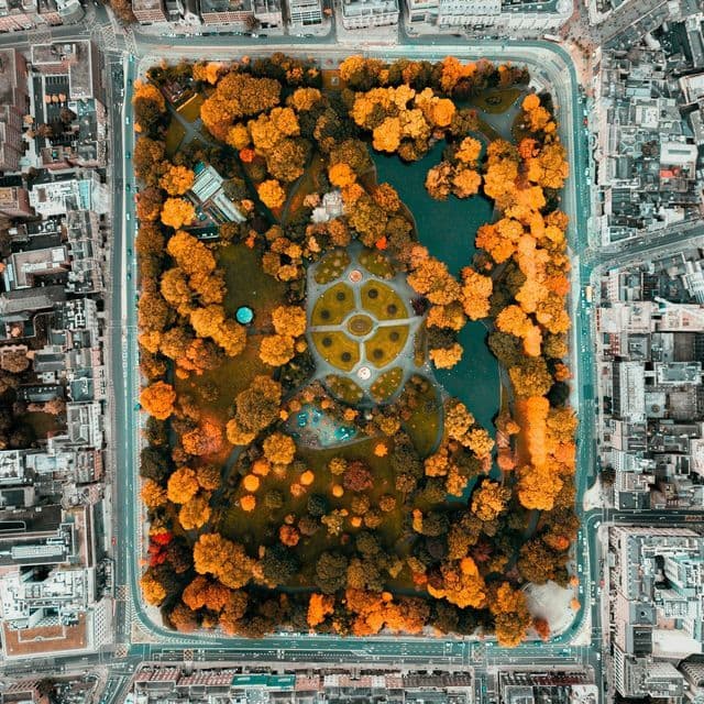 Luftbild eines rechteckigen Stadtparks mit orangefarbenen Herbstbäumen, einem Teich und geometrischen Wegen, umgeben von Stadtstraßen.