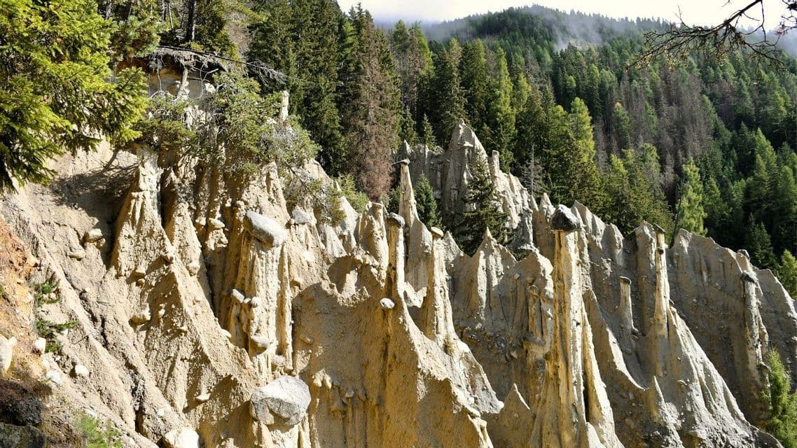 Hohe, spitze Erdpyramiden, eine einzigartige geologische Formation, an einem steilen Hang unter einem dichten immergrünen Wald.