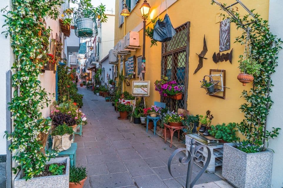 Un callejón estrecho entre edificios coloridos, densamente decorado con una variedad de plantas en maceta, flores trepadoras y obras de arte.