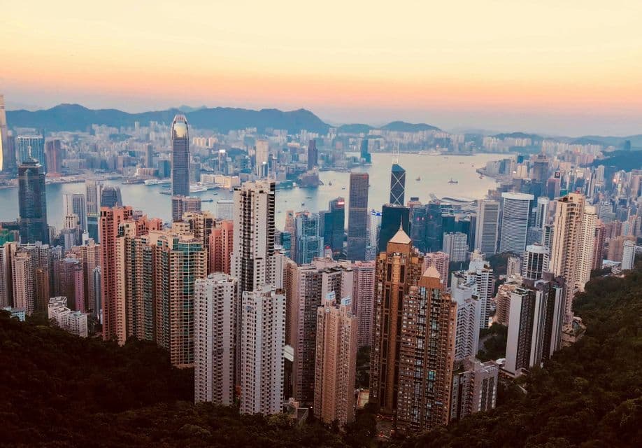 An aerial view of a dense cityscape with skyscrapers and a harbor, seen from a forested hill at sunset.