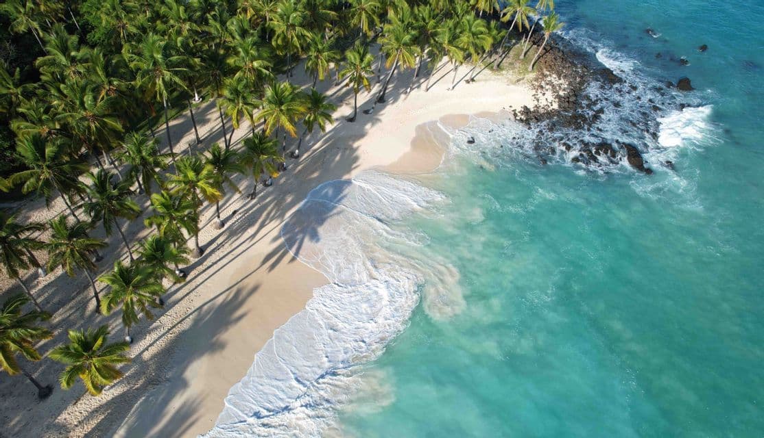 Vista aerea di una spiaggia tropicale dove l'acqua turchese si infrange sulla sabbia bianca accanto a una fitta foresta di palme.