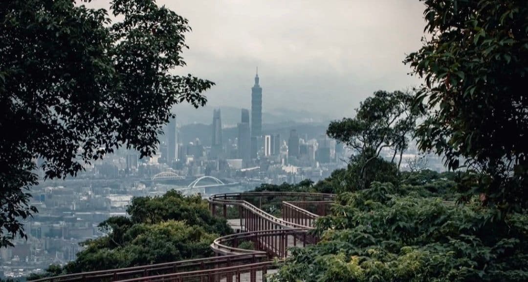 Una passerella elevata e tortuosa, immersa tra alberi rigogliosi, si affaccia su un vasto skyline cittadino con un grattacielo prominente, il tutto sotto un cielo velato.