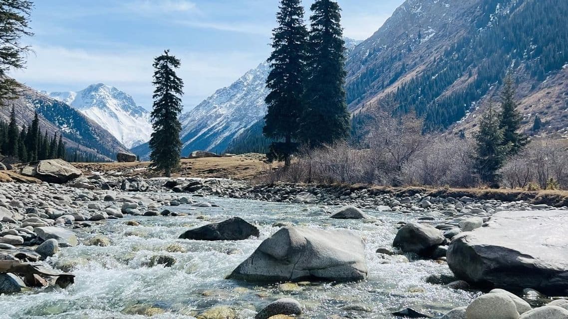 Ein schnell fließender Fluss braust über Felsen in einem Tal mit hohen Kiefern und schneebedeckten Bergen im Hintergrund.