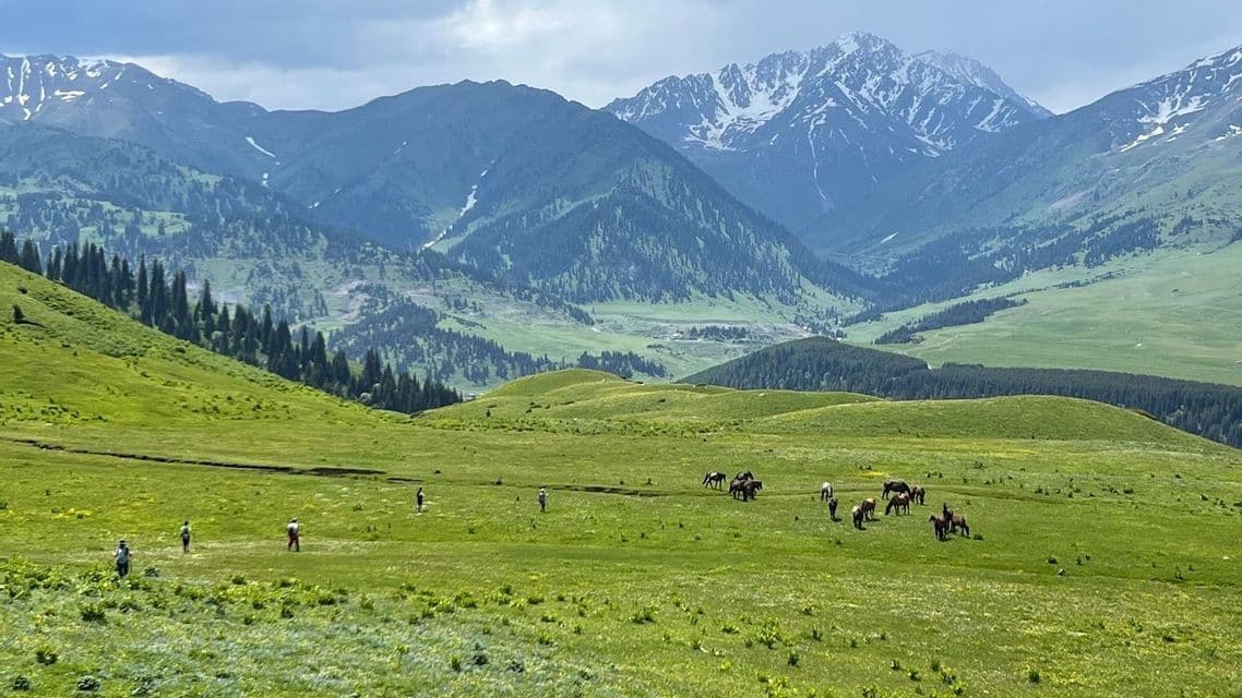 Eine WeRoad Gruppenreise führt durch ein weites grünes Tal mit grasenden Pferden und schneebedeckten Bergen im Hintergrund.