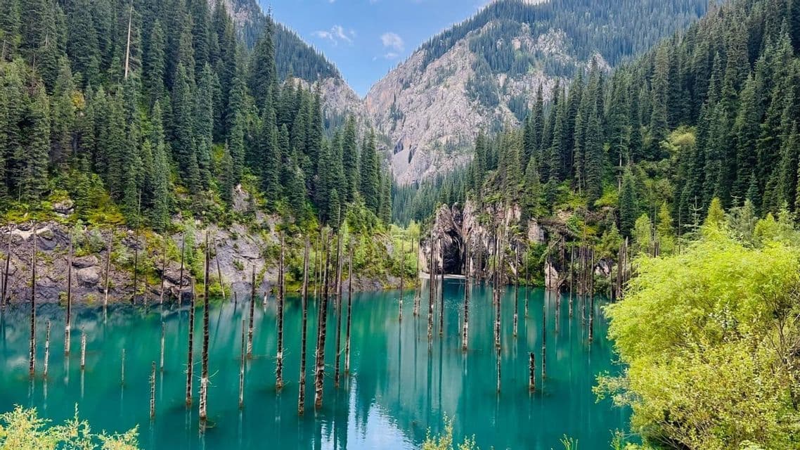 Tote Baumstämme ragen aus einem türkisfarbenen Bergsee hervor, umgeben von steilen, dicht bewaldeten Hängen.