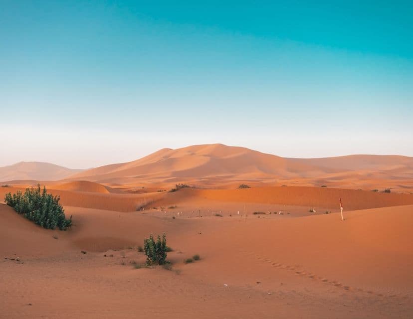 Un paesaggio di dolci dune di sabbia arancione con pochi cespugli verdi sotto un cielo azzurro e luminoso.