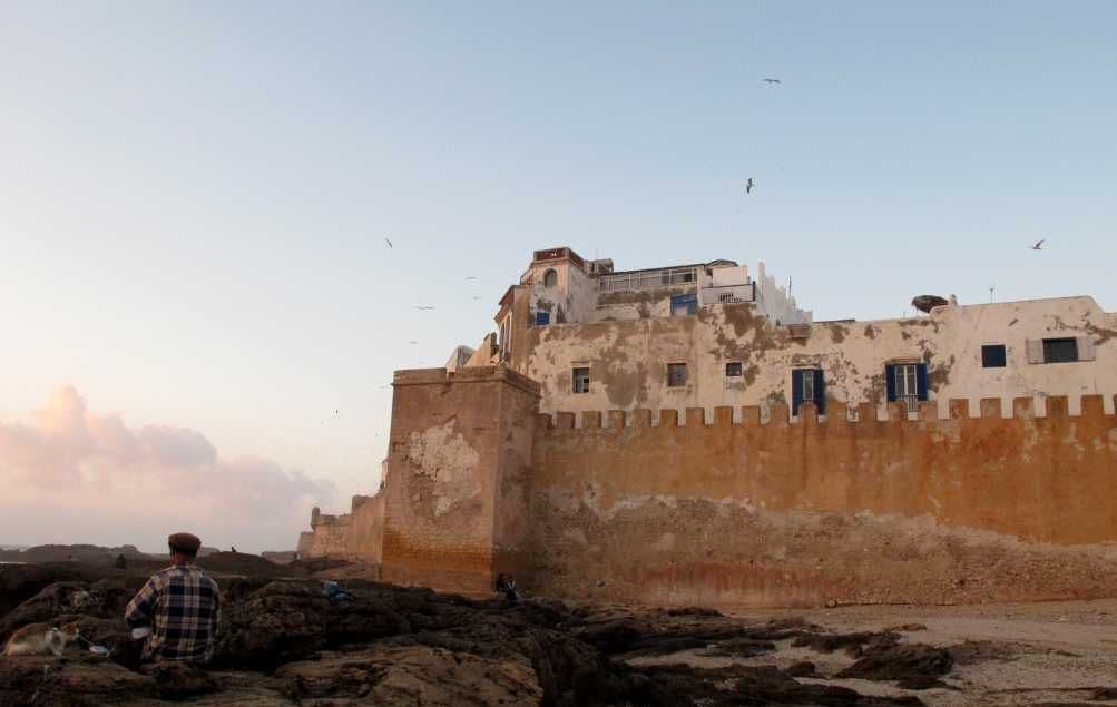 Una persona con una camicia a quadri siede con un gatto su scogli costieri, guardando una grande, logora muraglia di fortezza al tramonto.