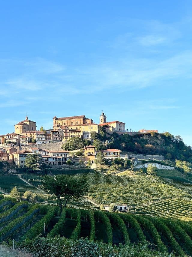 Un villaggio soleggiato con una chiesa si erge su una collina coperta da filari di vigneti verdi sotto un cielo blu.