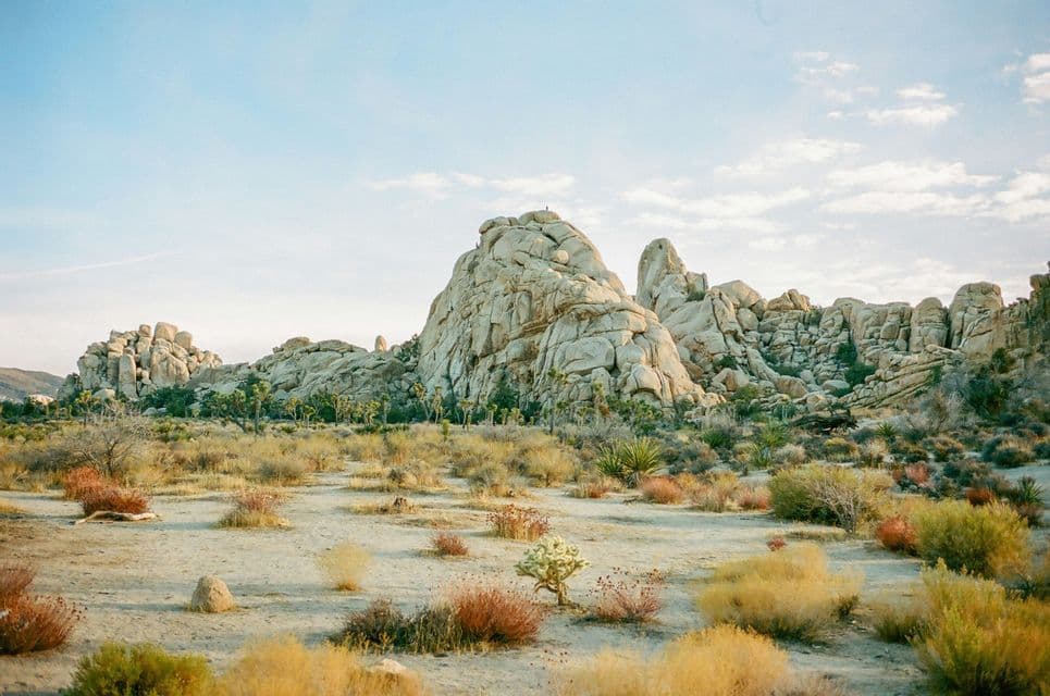 A vast desert landscape featuring large, rounded rock formations, Joshua trees, and various desert shrubs under a pale blue sky.