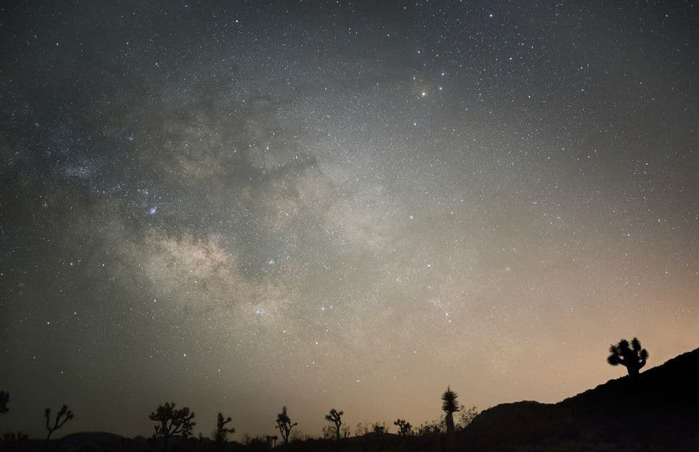 A starry night sky with the Milky Way visible above the silhouette of a desert landscape with Joshua trees.