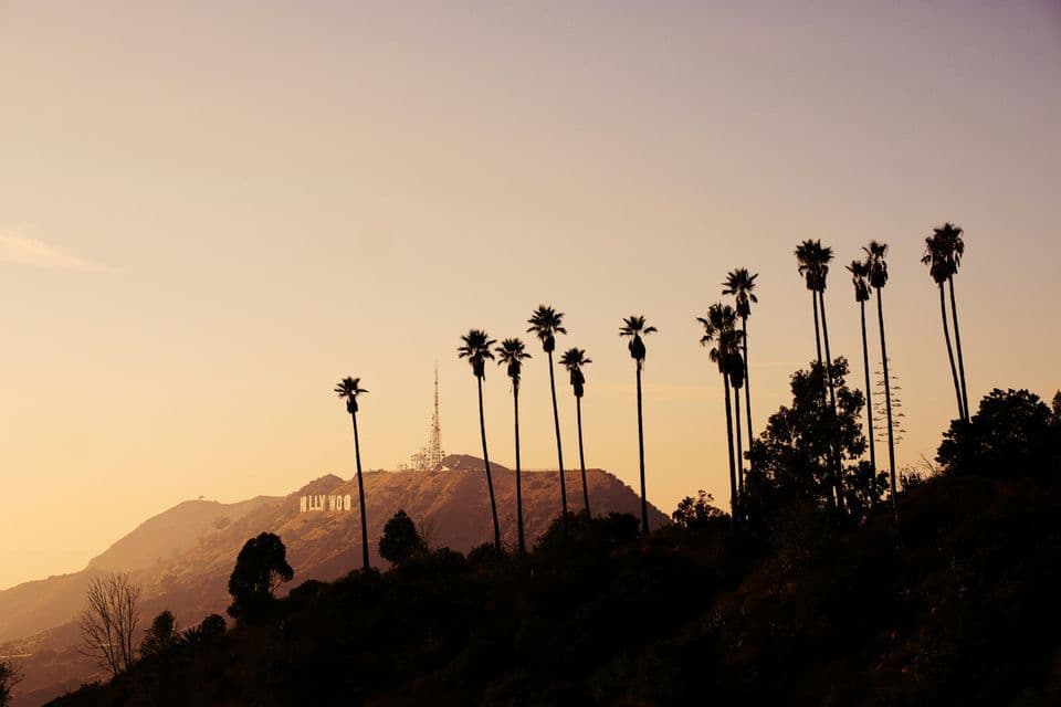 Silhouetted palm trees on a hill in the foreground with the Hollywood sign visible on a mountain against a golden sunset.
