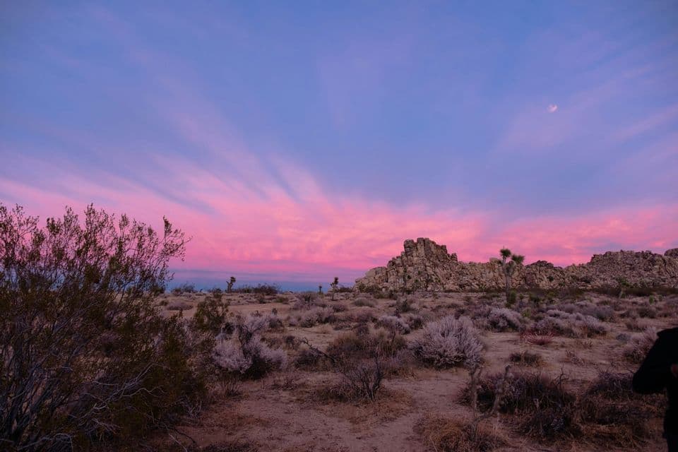 A desert landscape with rocky outcrops and shrubs under a sky with vibrant pink and purple clouds at sunset.