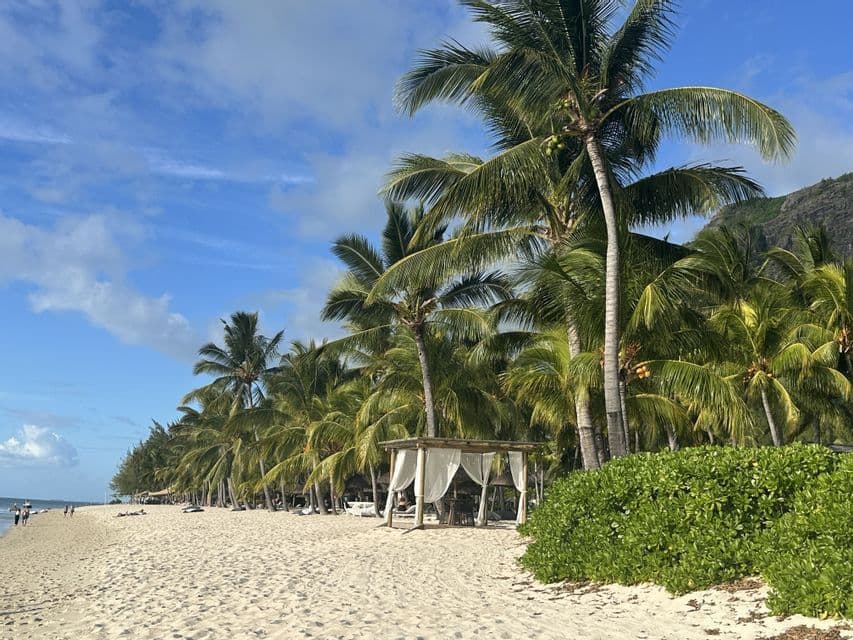 Une tonnelle blanche se dresse sur une plage de sable bordée de grands palmiers, sous un ciel bleu partiellement nuageux.