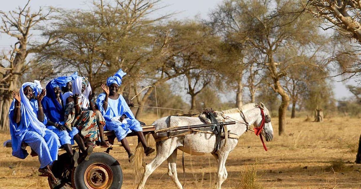A group of people in blue clothing smile and wave while riding on a horse-drawn cart through a dry, grassy landscape.