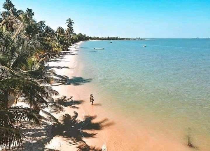 An aerial view of a woman walking on a sandy tropical beach lined with palm trees, whose shadows fall on the sand.