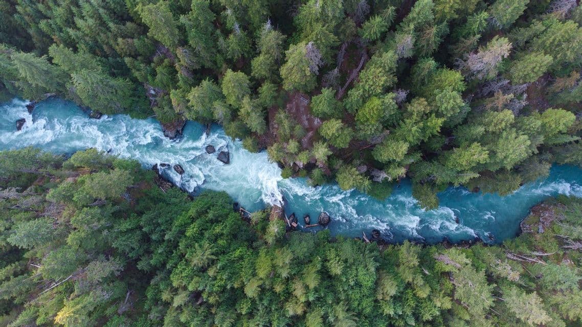 An aerial, top-down view of a turquoise river with white water rapids flowing through a dense green forest.