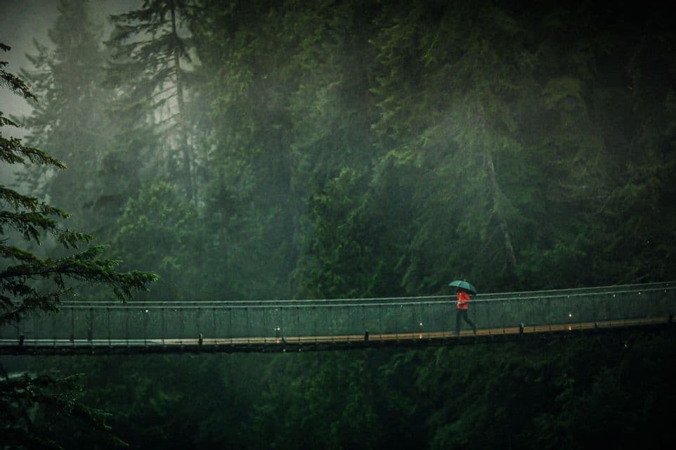 A person in a red jacket holding an umbrella walks across a suspension bridge in a misty, green forest.