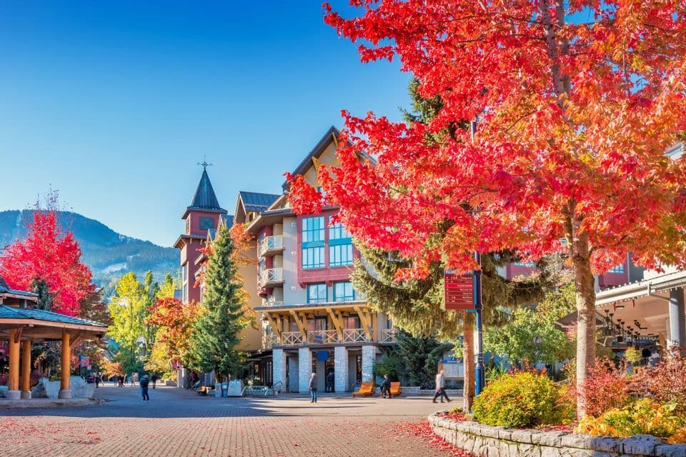 A sunlit pedestrian plaza in a mountain village with colorful autumn trees and a mountain in the background.